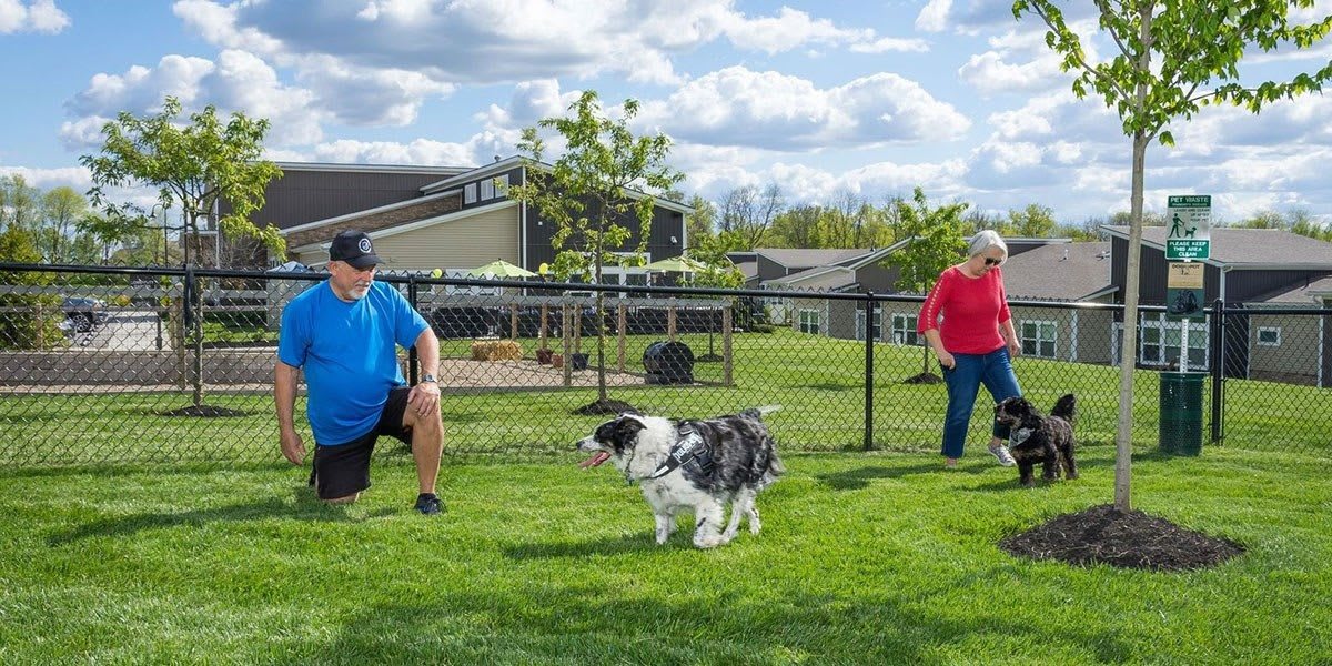 A couple enjoying time with a dog in a fenced park area on a sunny day.