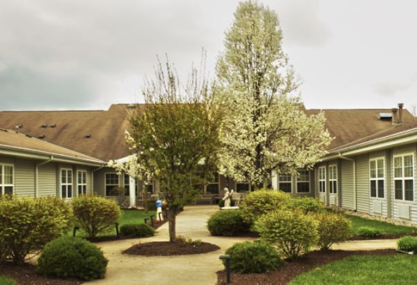 A charming courtyard with blooming trees and neatly landscaped bushes.