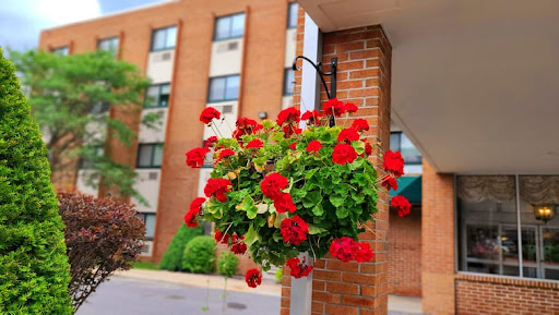 A vibrant hanging planter filled with red geraniums, adding a pop of color to the brick architecture.
