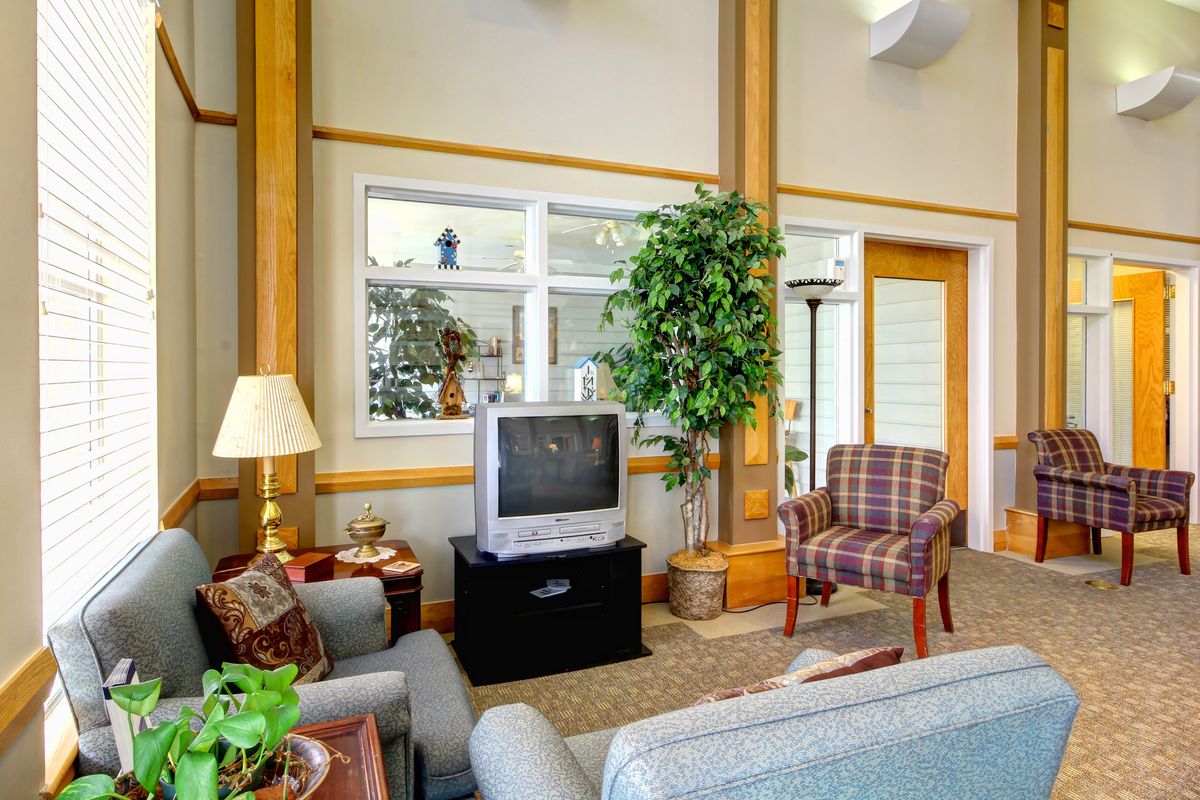 A cozy living room with a television, sofa, armchair, and decorative plants.