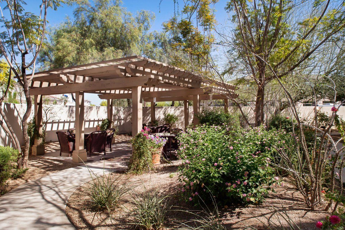A serene outdoor garden with a pergola providing shade over a patio area.
