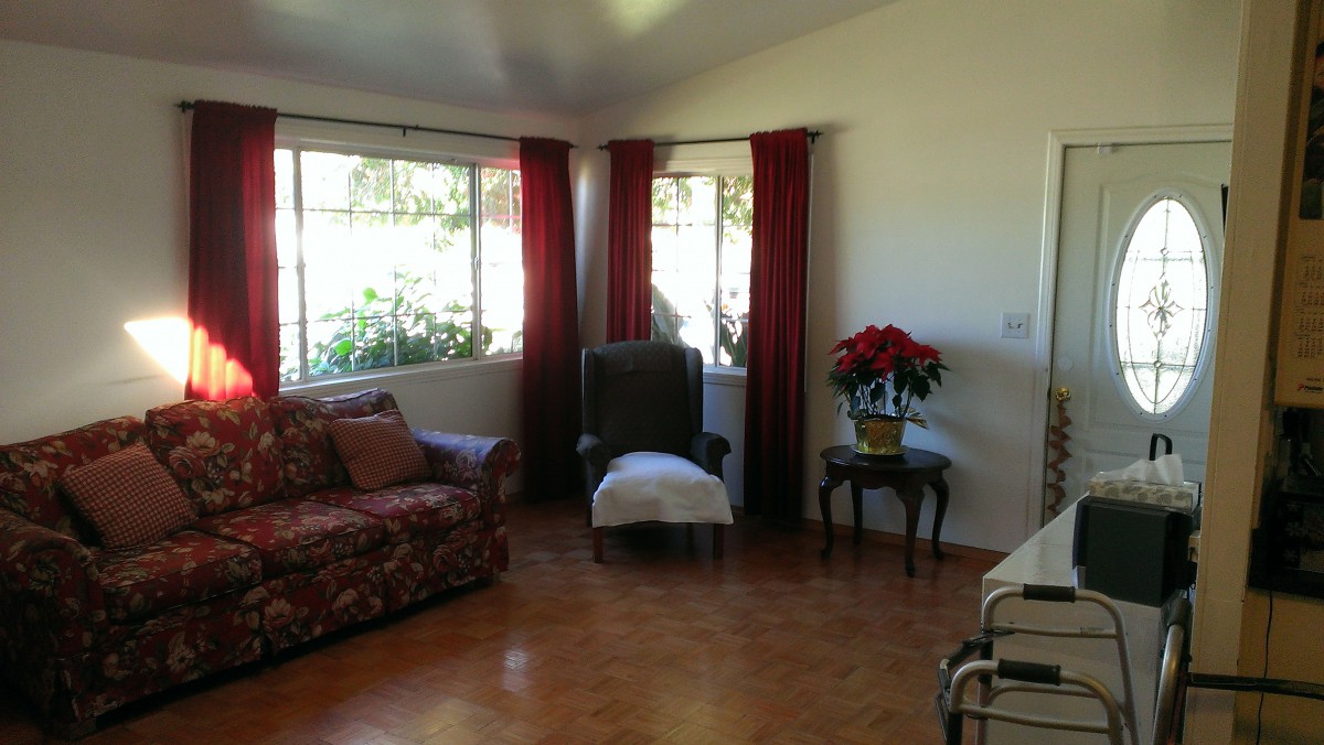 A cozy living room with a sofa, armchair, and a poinsettia on a small table by the window.