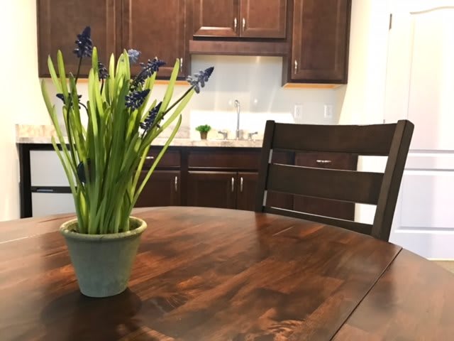 A cozy kitchen setting with a wooden table and a potted plant centerpiece.