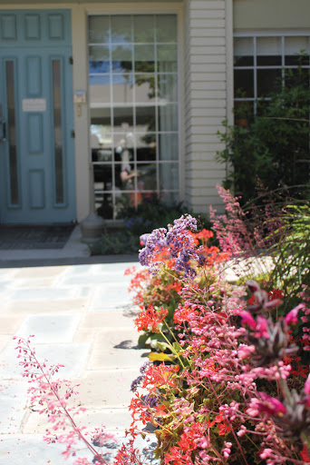 A vibrant display of flowers leading up to a charming front door.