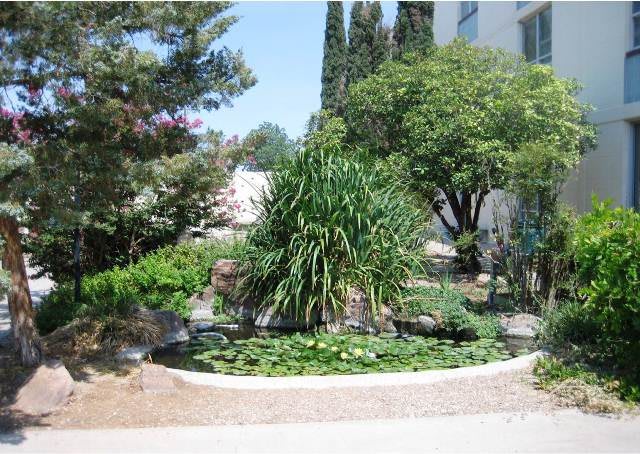 Landmark at Desert Gardens