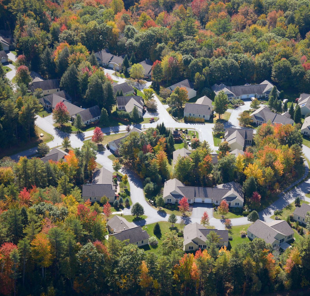 Aerial view of a suburban neighborhood surrounded by colorful autumn trees.