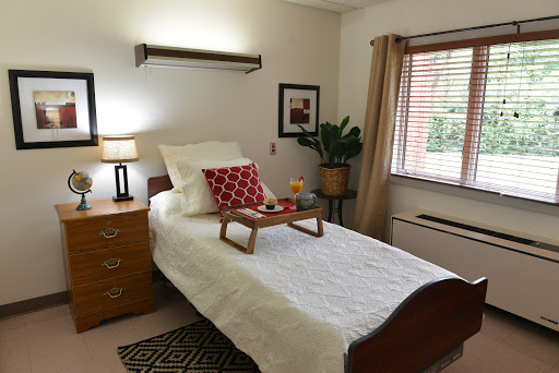 A cozy and well-decorated bedroom featuring a single bed, bedside table with a lamp, and a houseplant by the window.