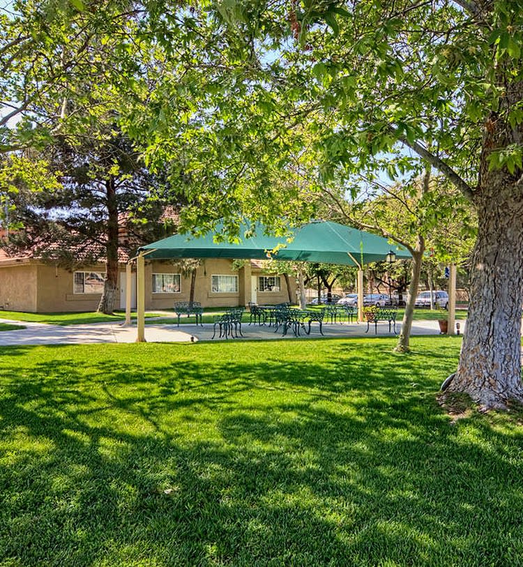 A serene outdoor park featuring a pavilion surrounded by lush green grass and trees providing shade.