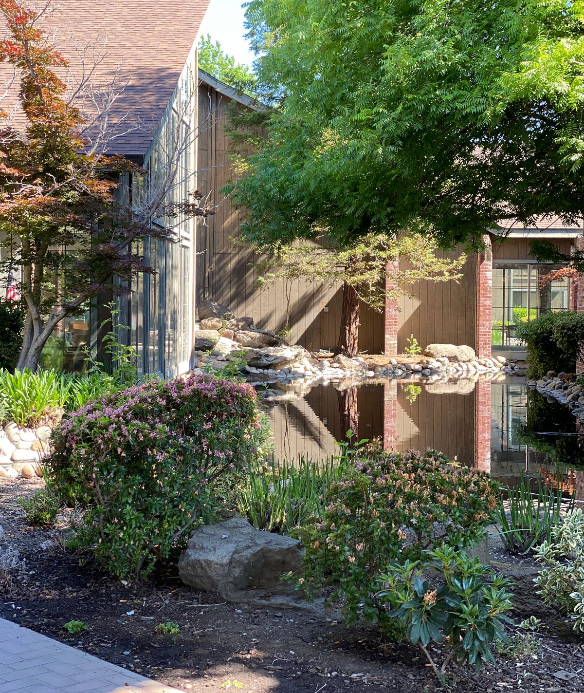 A serene garden with a pond reflecting nearby structures and lush greenery.