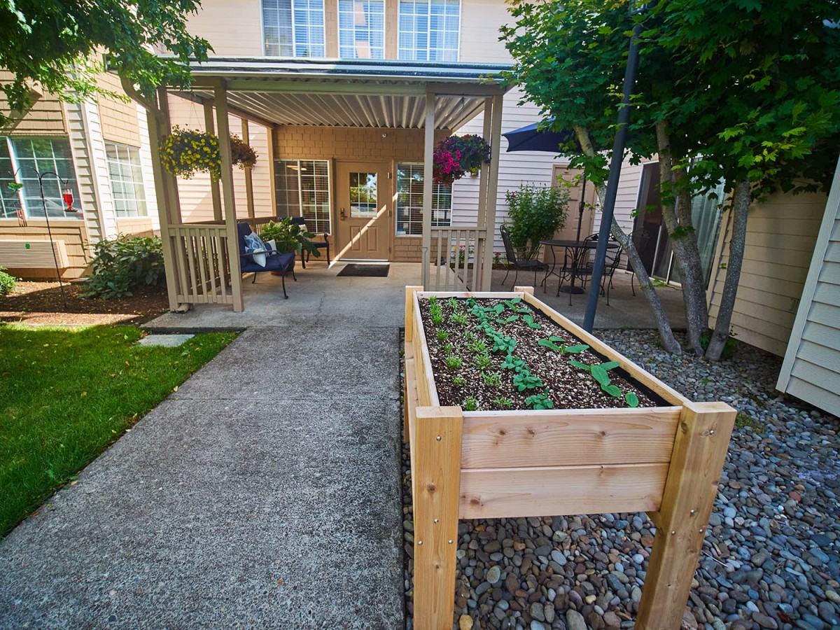 A backyard patio with a wooden raised garden bed filled with green plants.