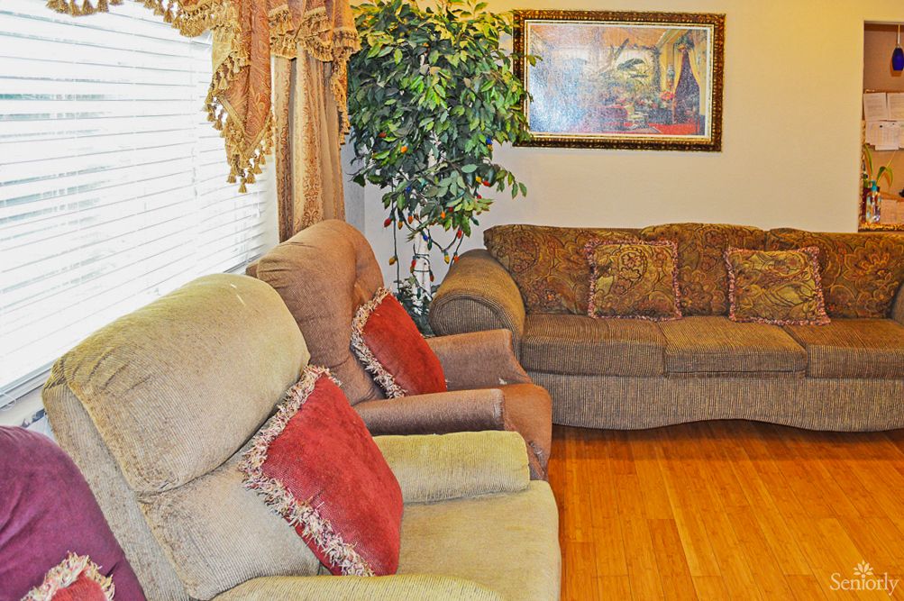 A cozy living room with plush sofas, decorative pillows, a leafy houseplant, and elegant wall art.