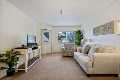 A cozy living room with a sofa, armchair, television, and decorative elements including a potted plant.