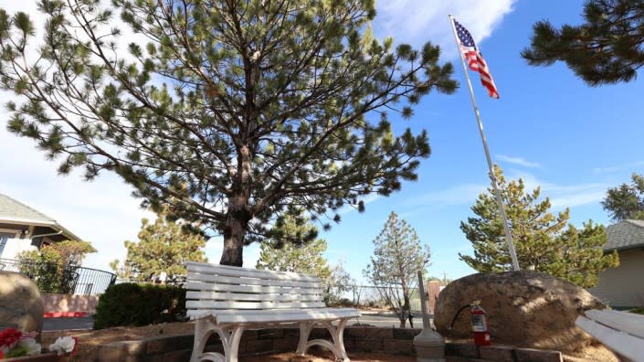 A white bench under a tree with an American flag in the background on a sunny day.