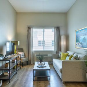 A stylish, modern living room with a comfortable sofa and a well-organized layout.