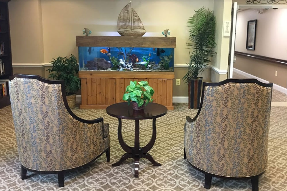 A cozy living room setup with two chairs facing an aquarium, a small table, and indoor plants.