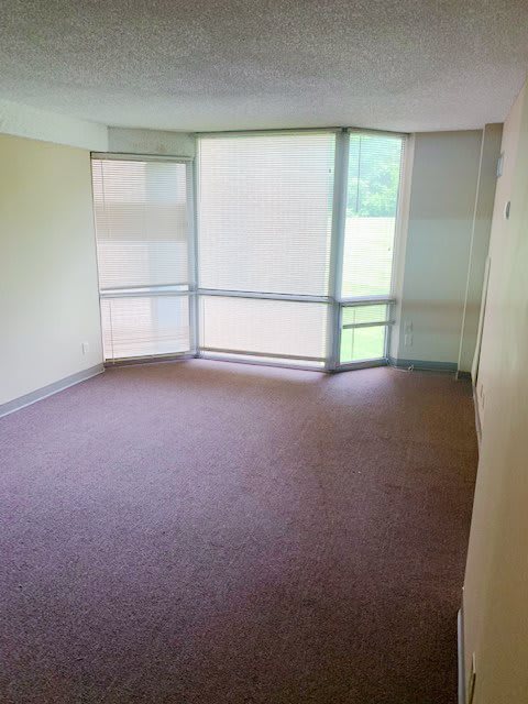 An empty room with a carpeted floor and large windows fitted with blinds.
