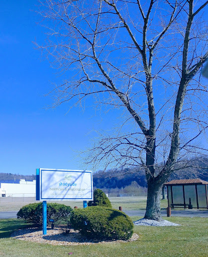 A serene landscape featuring a bare tree beside a bus stop under a clear blue sky.