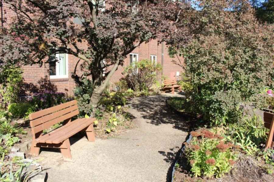 A peaceful garden area with benches and a pathway surrounded by trees and shrubs.