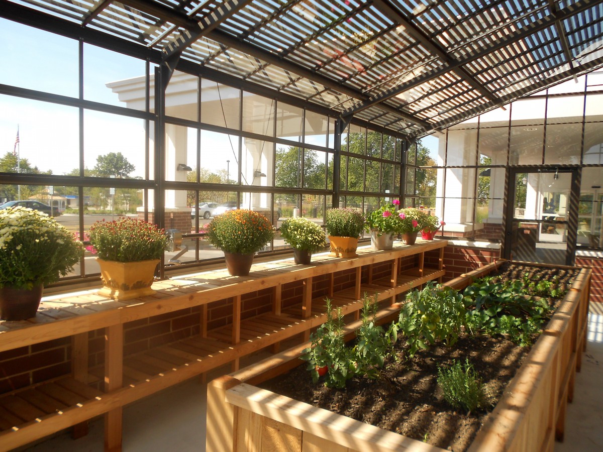 A greenhouse filled with a variety of potted plants and garden beds, illuminated by sunlight.