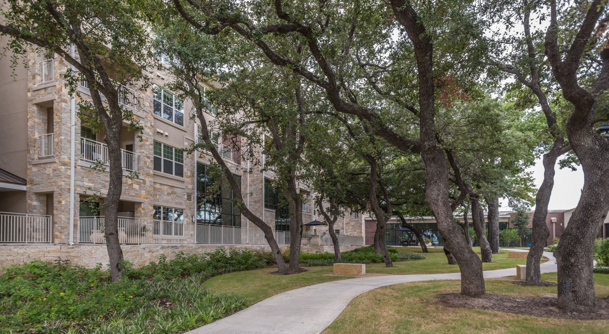 A scenic pathway lined with trees leading to a building.