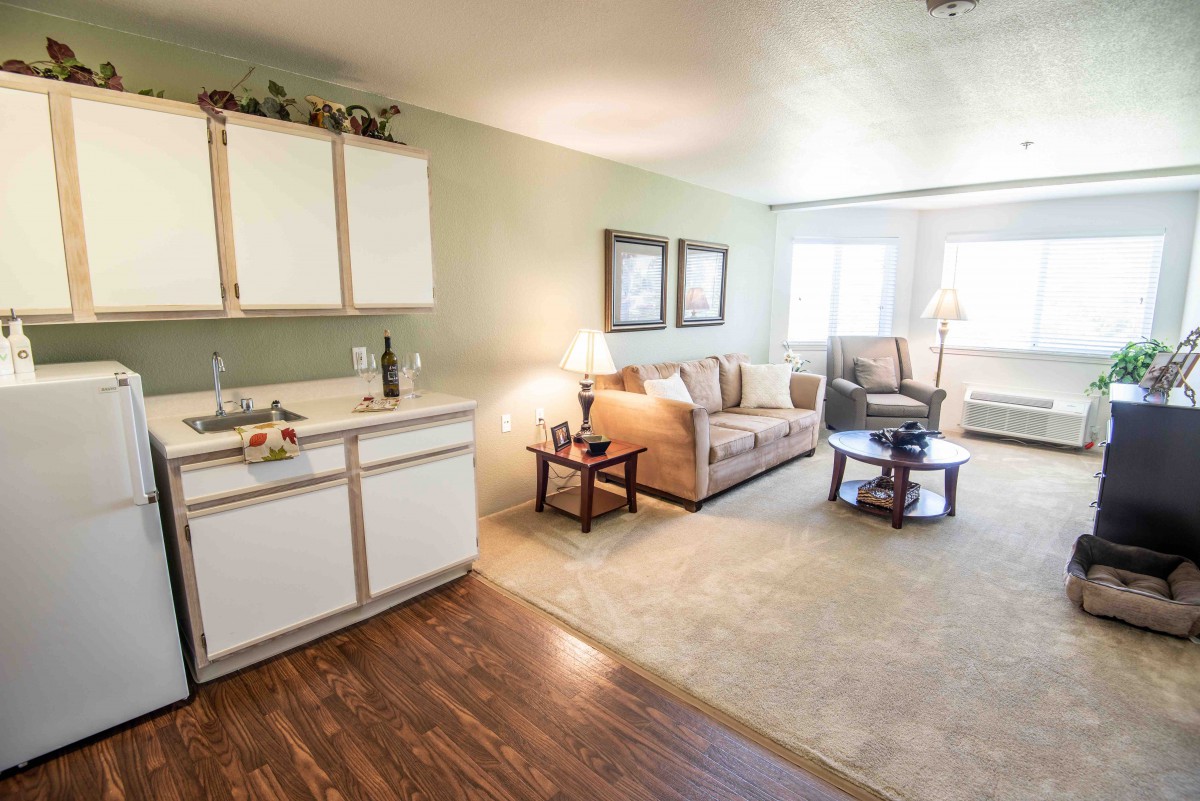 A cozy apartment living space with an open kitchen and comfortable seating area.