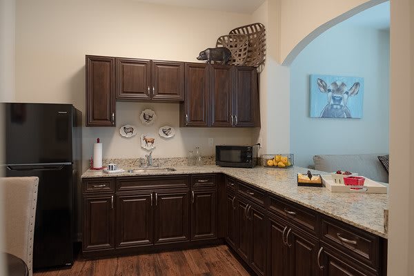 A modern kitchen with dark wood cabinets and a neat countertop, featuring decorative plates on the wall.