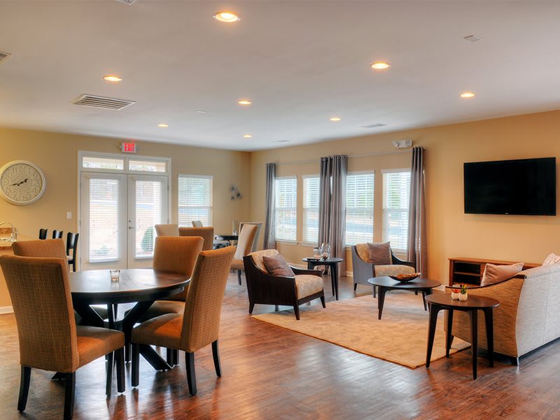 A modern living room with elegant furniture and large windows providing ample natural light.