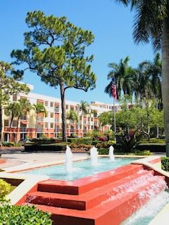 A scenic view of a fountain in front of colorful buildings surrounded by lush palm trees.