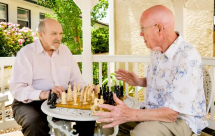 Two elderly men playing chess and conversing in a gazebo.