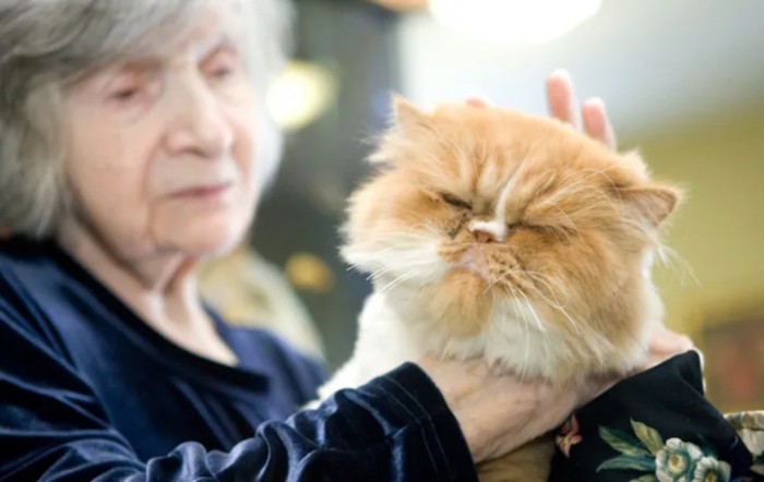 The Bostonian Nursing Care & Rehabilitation Center