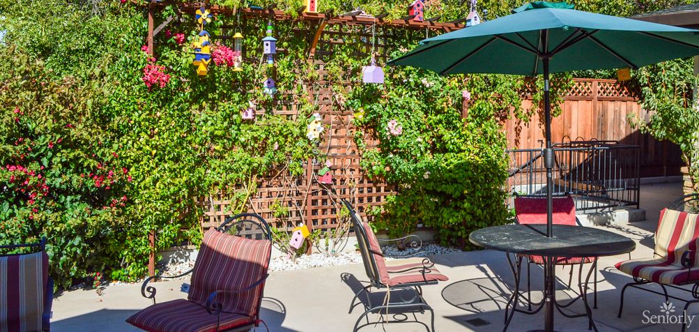 A cozy garden patio with chairs, a table, and decorative lights hanging on a vine-covered lattice.