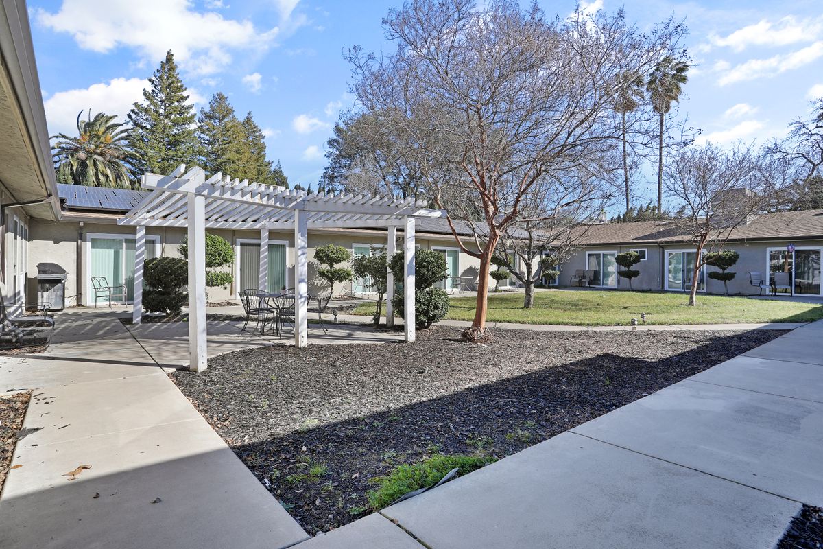 A peaceful outdoor area featuring a pergola with seating, surrounded by trees and walkways.
