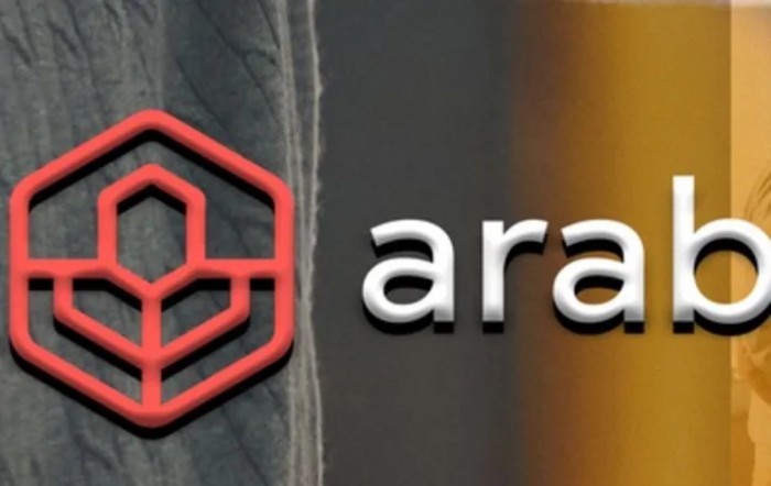 A logo design featuring a red hexagonal symbol next to the word 'ara'.