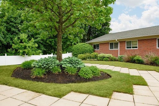A well-maintained garden featuring a lush tree and vibrant landscaping surrounding a cozy home.