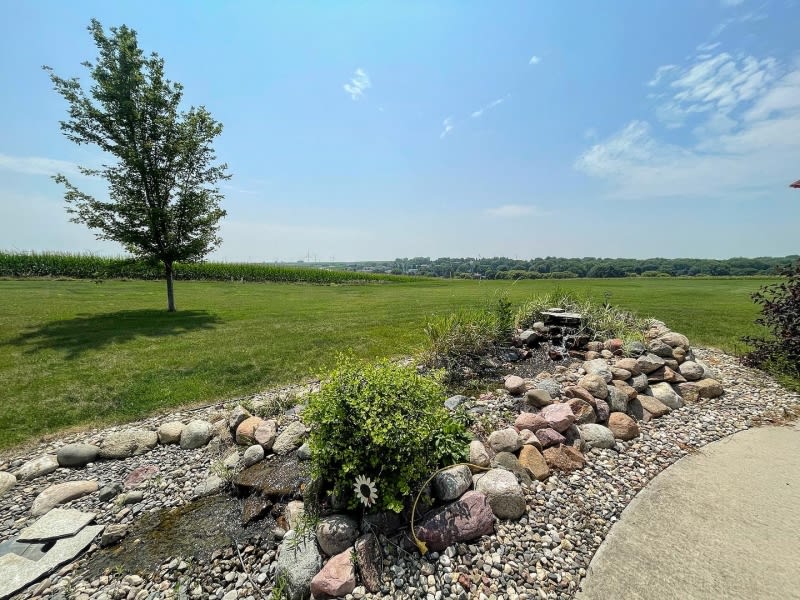 A scenic view of a grassy field with a tree, rocks, and a clear blue sky.