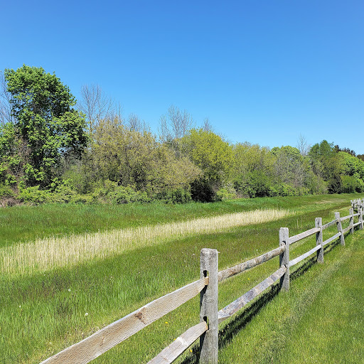 A peaceful landscape showcasing a vibrant green field bordered by a wooden fence under a clear blue sky.