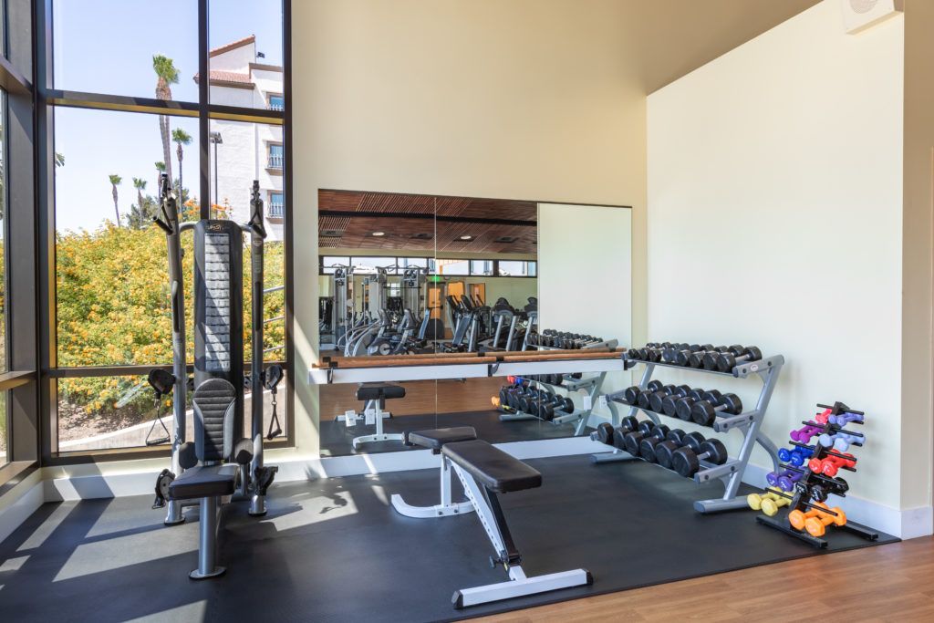 A well-equipped gym with weights and workout equipment, featuring large mirrors for fitness enthusiasts.