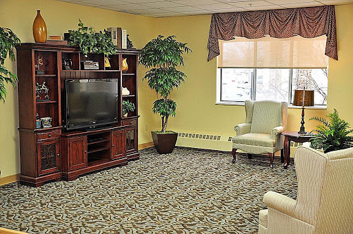 A cozy living room with a television, armchair, and indoor plants.
