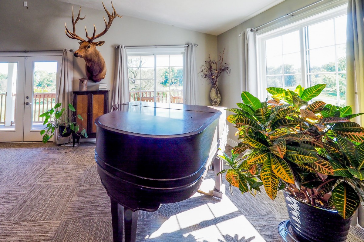 A sunlit living room featuring a grand piano, a mounted deer head, and vibrant plants.