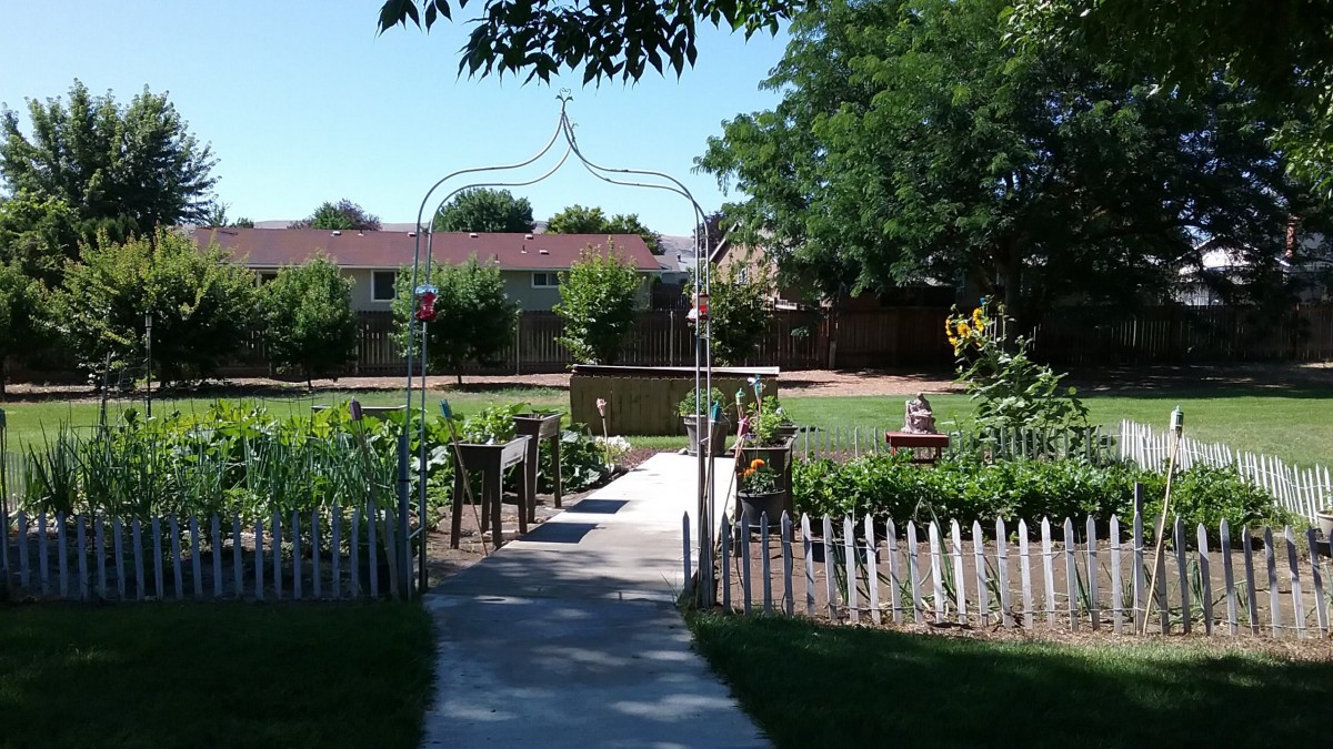 A peaceful garden with a pathway leading through neatly arranged plants and benches under a clear blue sky.