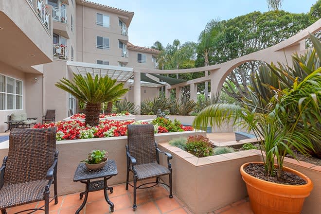 A cozy apartment patio with green plants and comfortable seating.