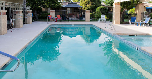 A serene backyard pool surrounded by lush greenery and inviting lounge chairs.
