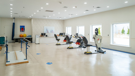 A modern gym space featuring rowing machines and bright interior design.