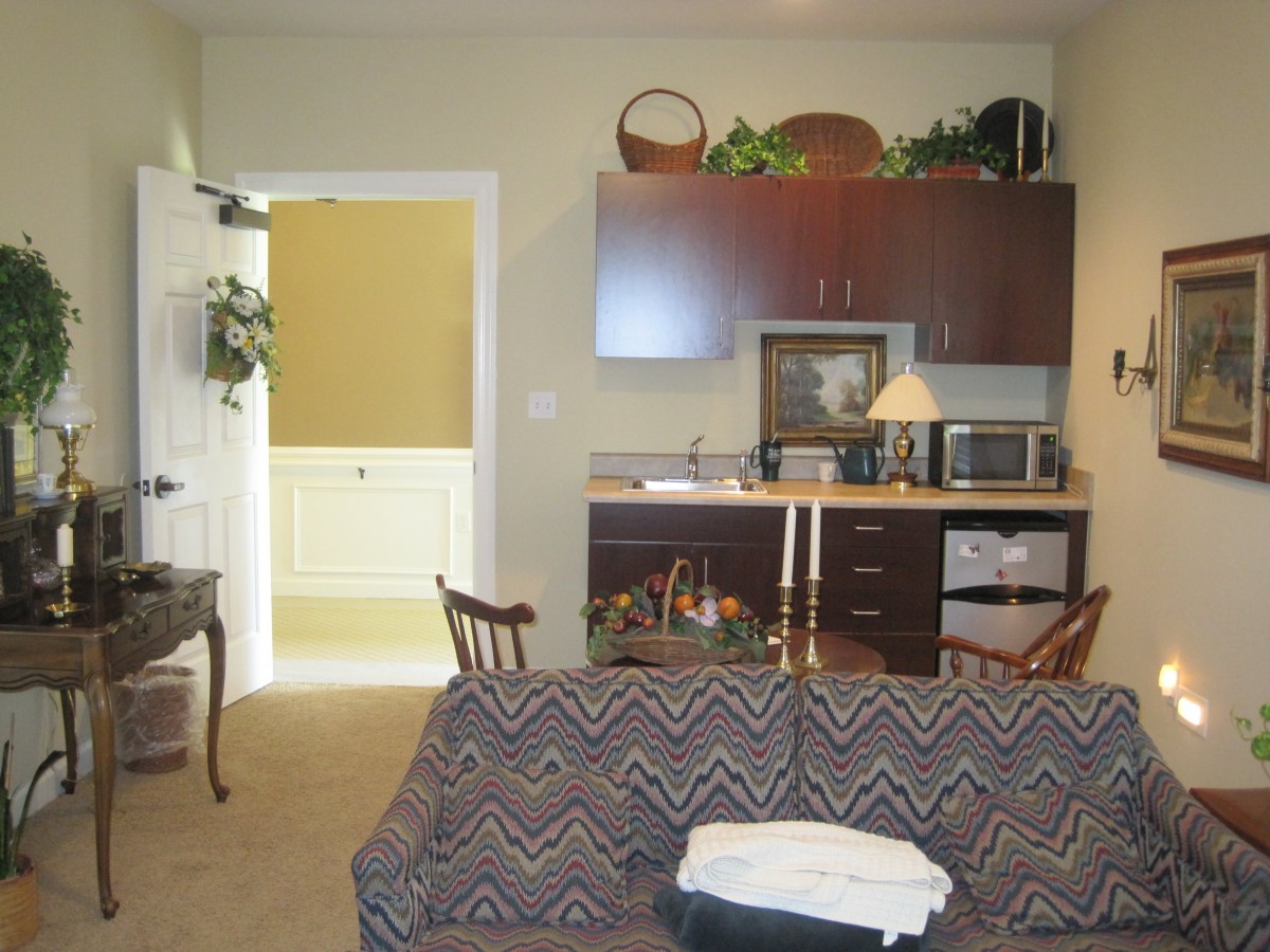 A cozy living area with a sofa and a small kitchenette in the background.