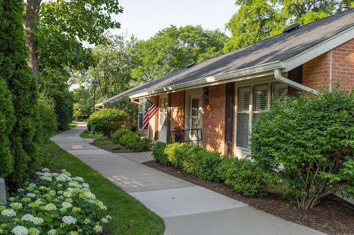 A charming residential area featuring a well-maintained house with a walkway surrounded by lush greenery.