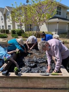 A group of people working together in a community garden.