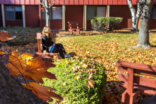 A peaceful moment in an autumn setting, surrounded by fallen leaves.