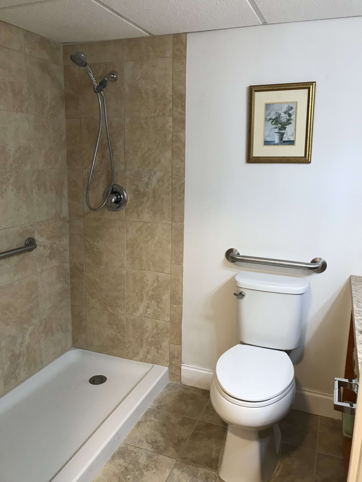 A bathroom featuring a walk-in shower, toilet with grab bars, and a framed picture on the wall.