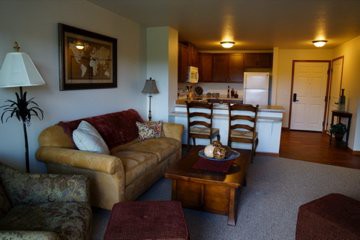 Cozy living room with an open-concept kitchen and comfortable furnishings.