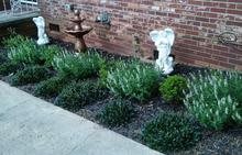 A neatly maintained garden with statues against a brick wall.